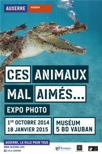Exposition de photos : Ces animaux mal-aimés.... Du 1er octobre 2014 au 18 janvier 2015 à Auxerre. Yonne.  13H30